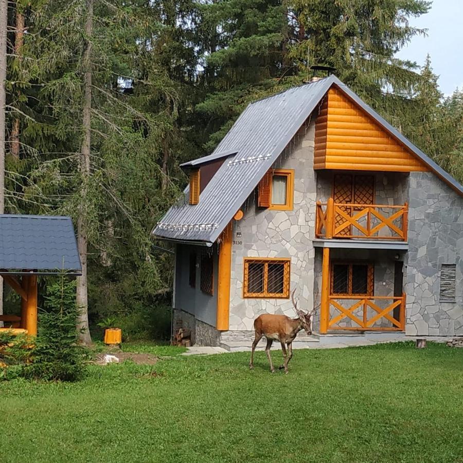 Chata Tatry Tatranska Strba Exterior foto